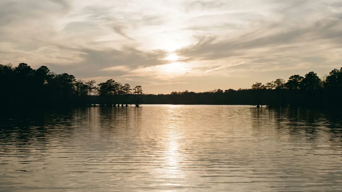 Golden hour on still water with a line of trees beyond, a studio study